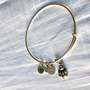 Lady bug alex and ani